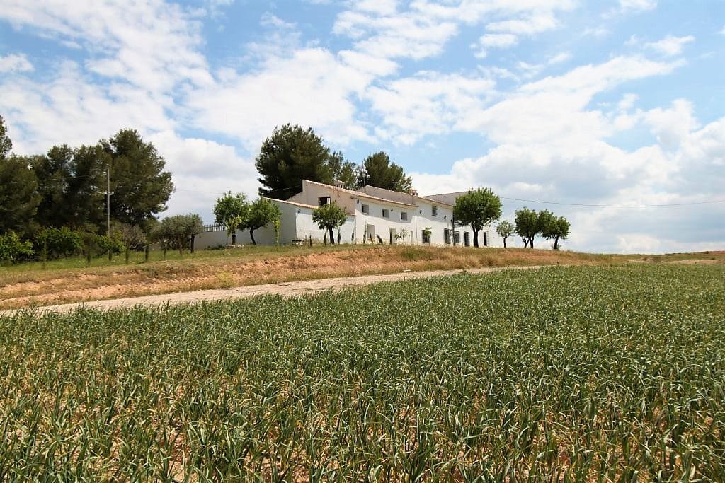 Luxury Country Property Inland Murcia Paramount Properties Murcia