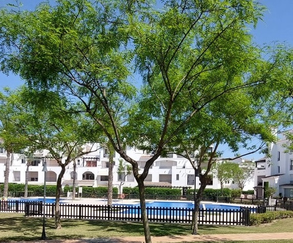 galería